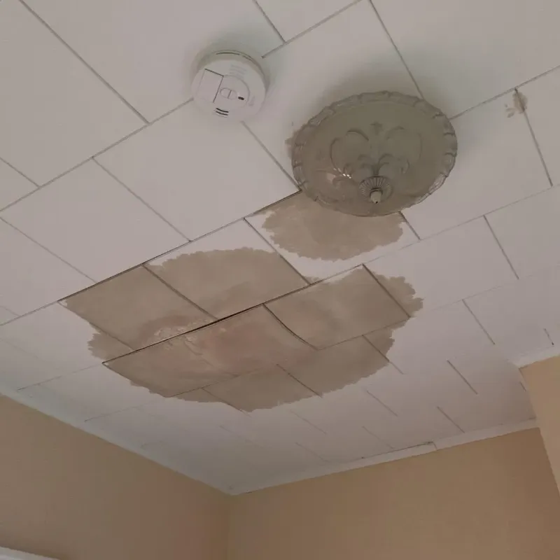 Ceiling Water Damage Repair in Cedar Grove, FL